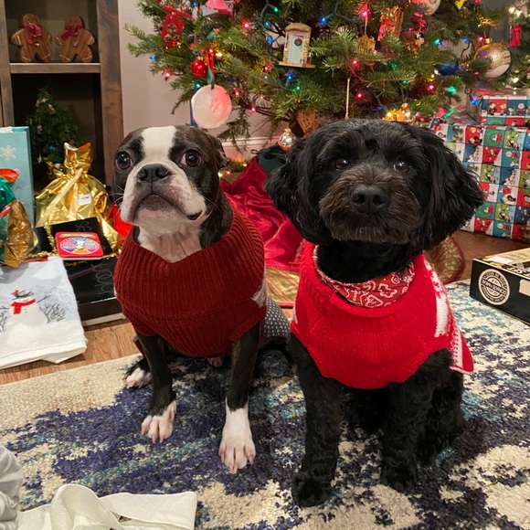 Meet your Posher, Bridget - Picture 2 of 2